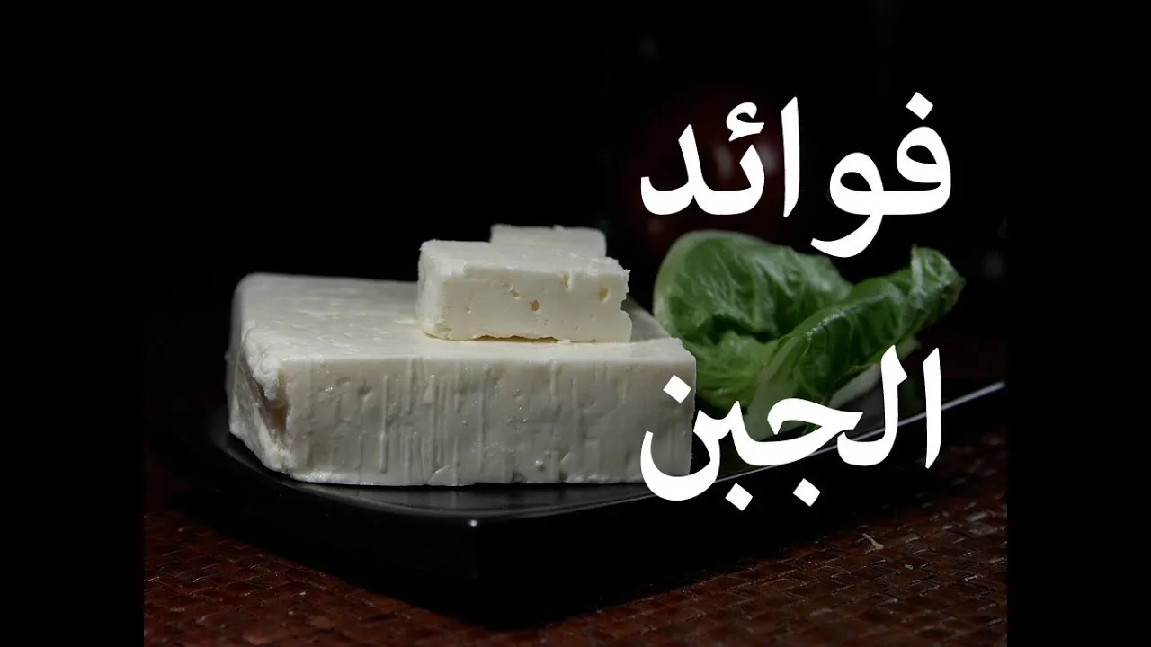فوائد الجبن