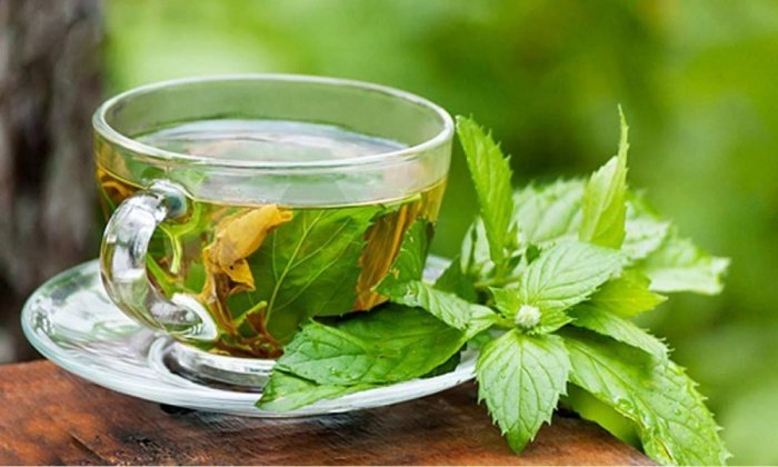 فوائد النعناع المغلي للكرش 