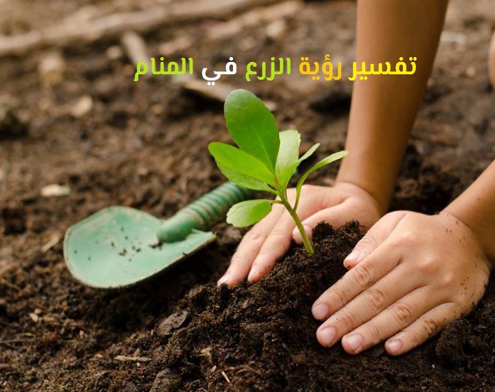 تفسير الزرع الأخضر في المنام