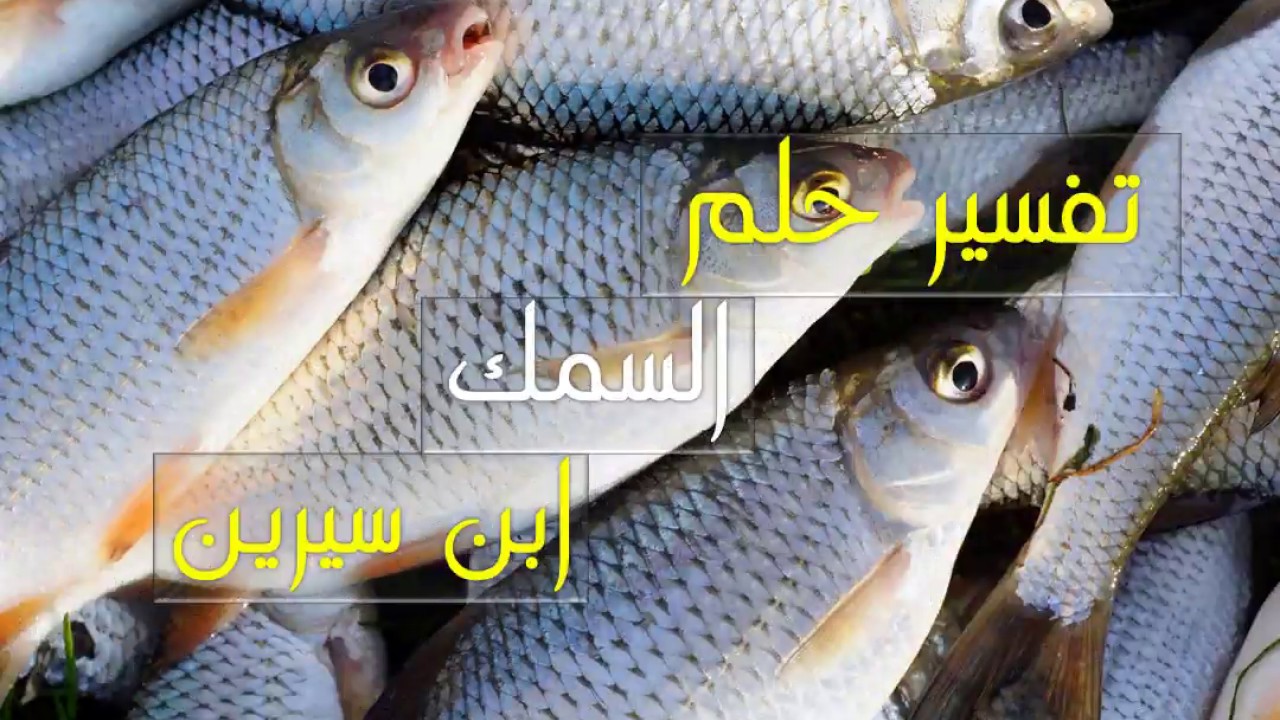 تفسير رؤية تنظيف السمك فى المنام