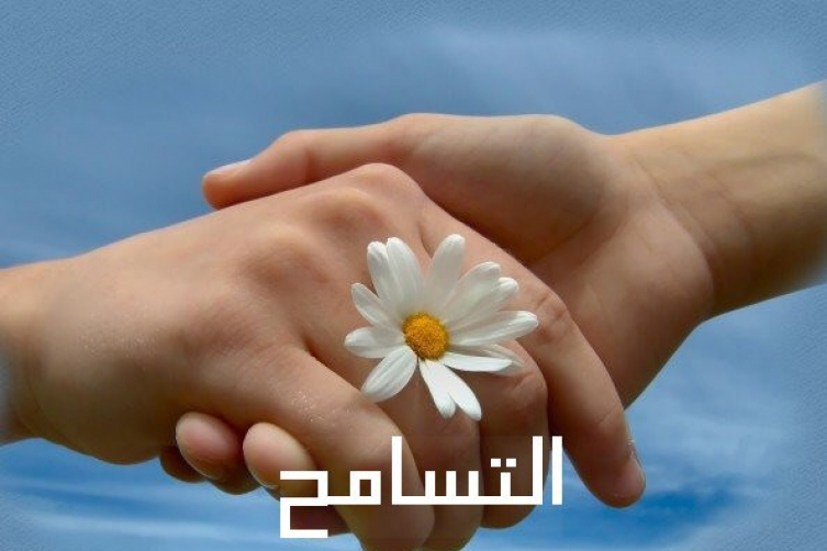 ثقافة التسامح