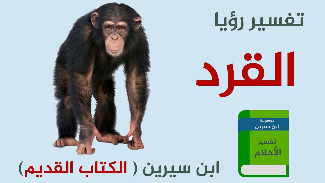 تفسير رؤيا القرد في المنام