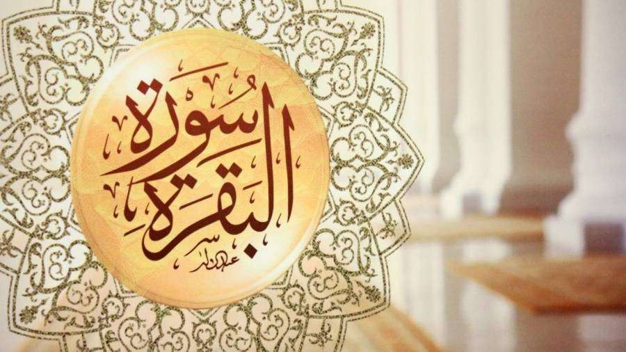 كيف تختم سورة البقرة يوميا