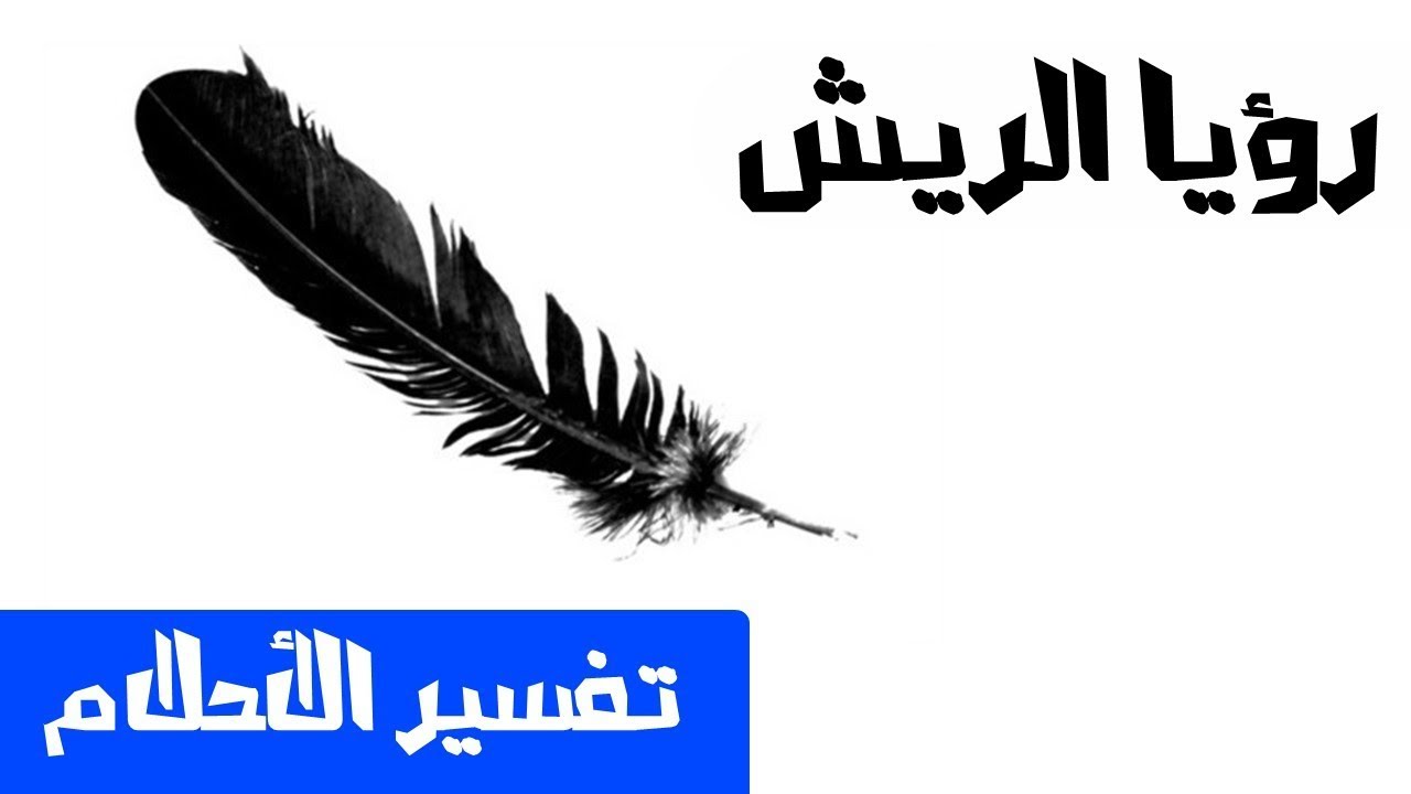 تفسير رؤية الريش في المنام