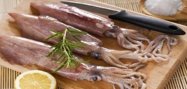 فوائد الحبار لتقوية العضلات