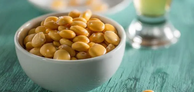 فوائد الترمس للرجيم