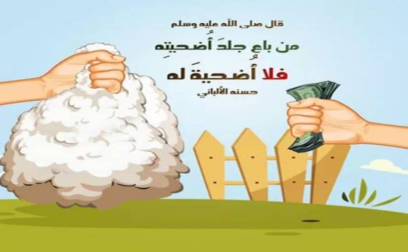 احاديث عن فضل الأضحية