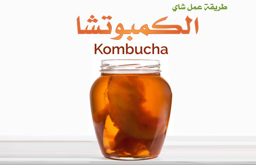 فوائد شاي الكمبوشا