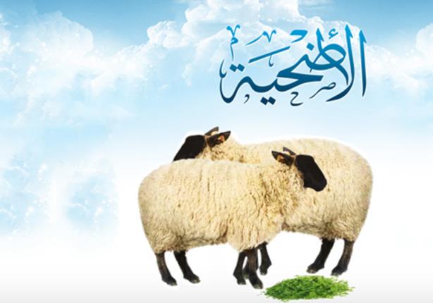احاديث عن فضل الاضحية