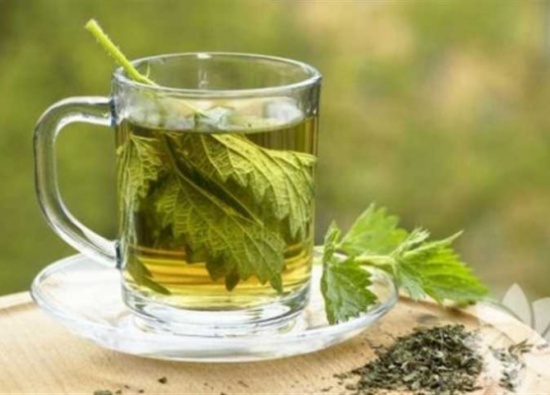 فوائد واضرار البولدو
