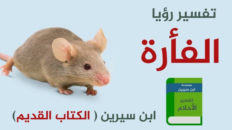 تفسير الفار في المنام