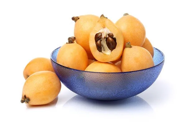 فوائد اسكدنيا