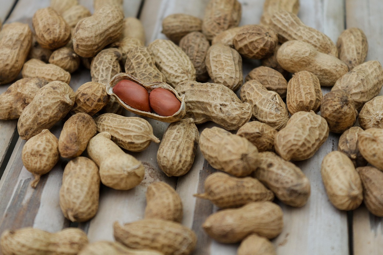 اشهر الشركات الغذائية في السعودية