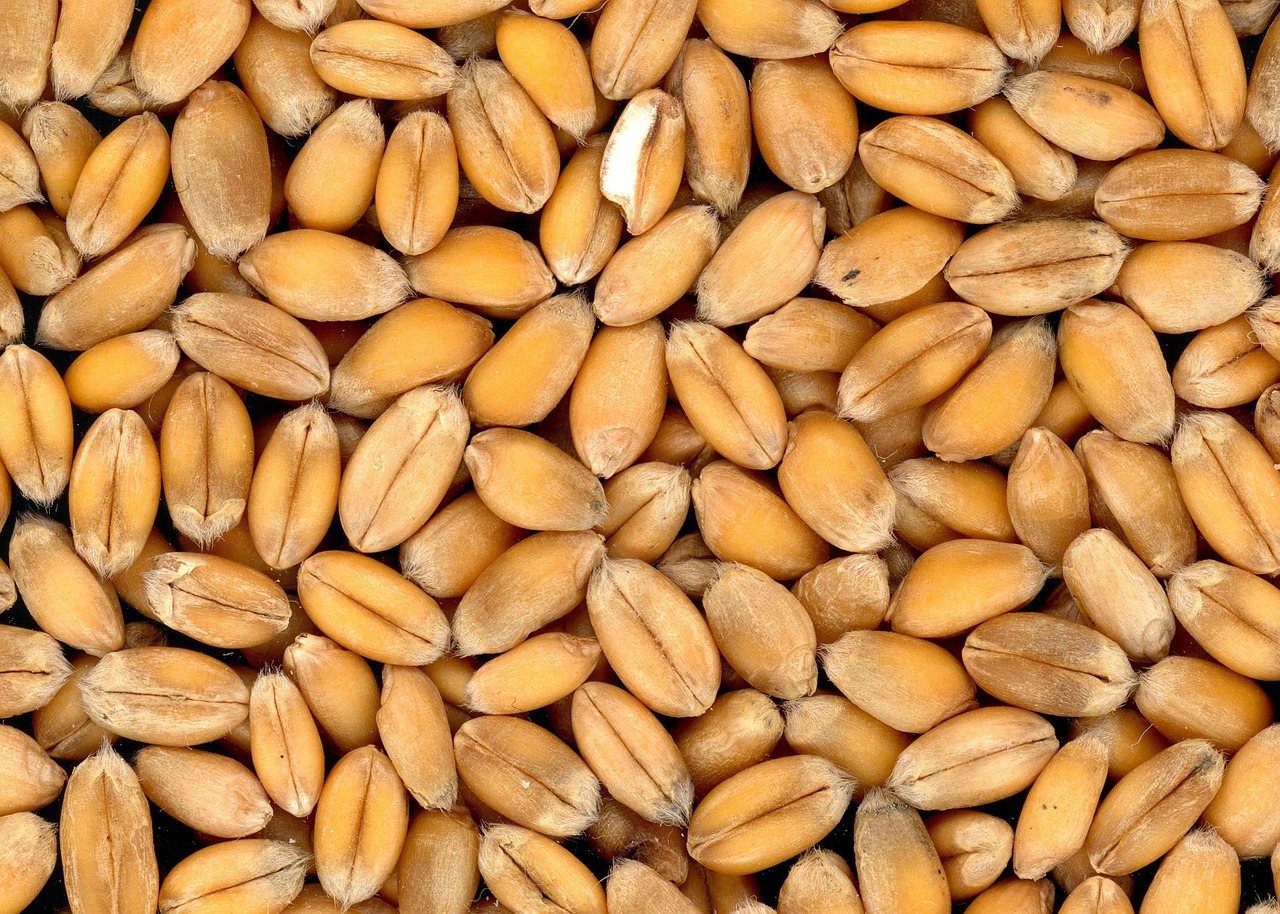 فوائد زيت ترشوب