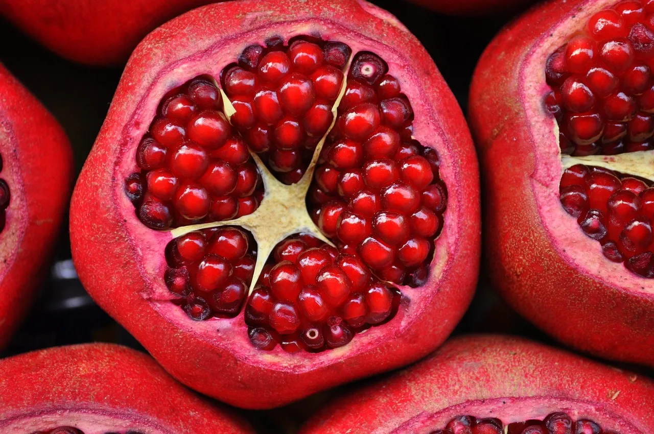 فوائد بذور القرع