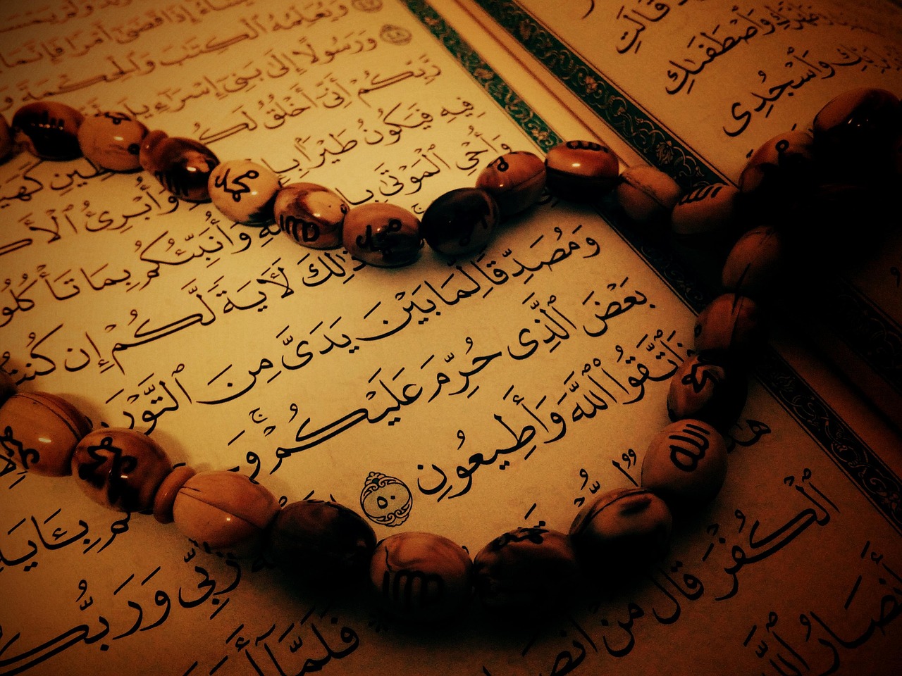 الشاعر ابن نباتة المصري