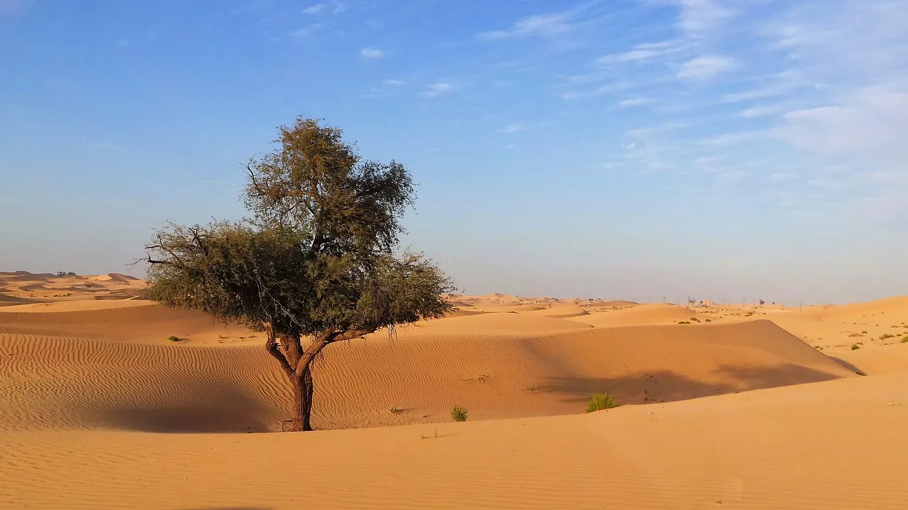 ابو بكر الصديق رضي الله عنه
