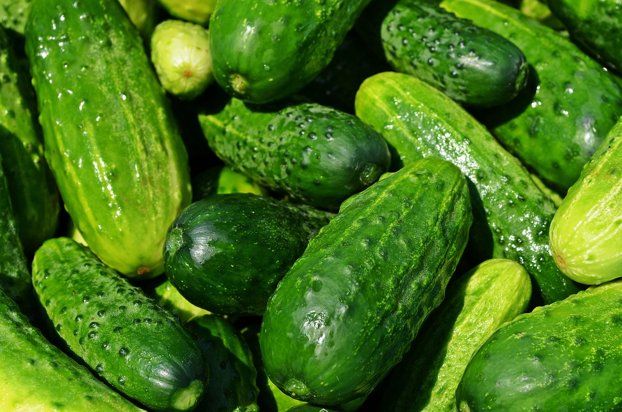 فوائد الحبوب البحرية
