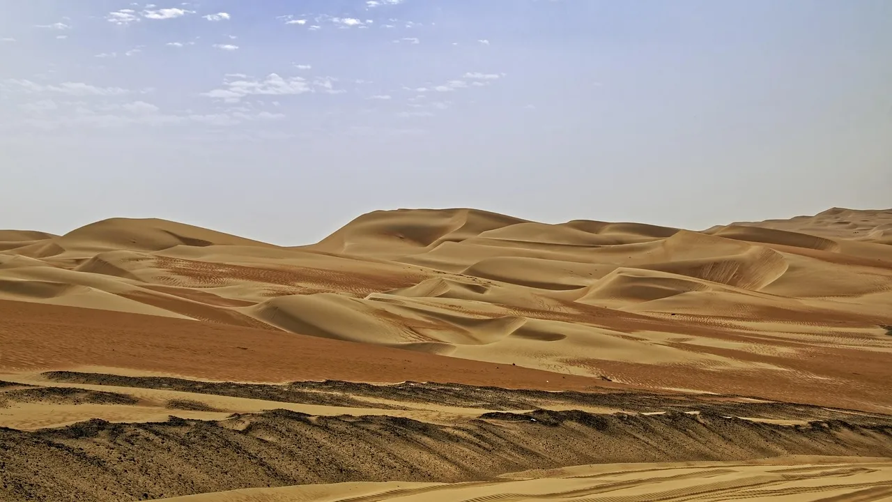 ولادة ابو بكر الصديق