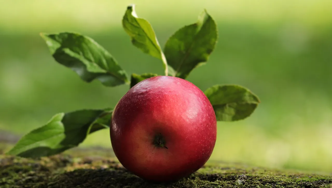ما فوائد التفاح الأخضر