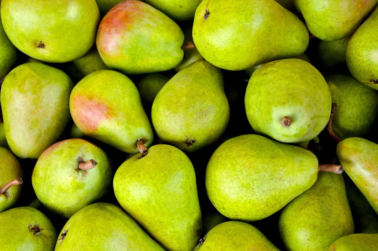 فوائد بذور الفجل