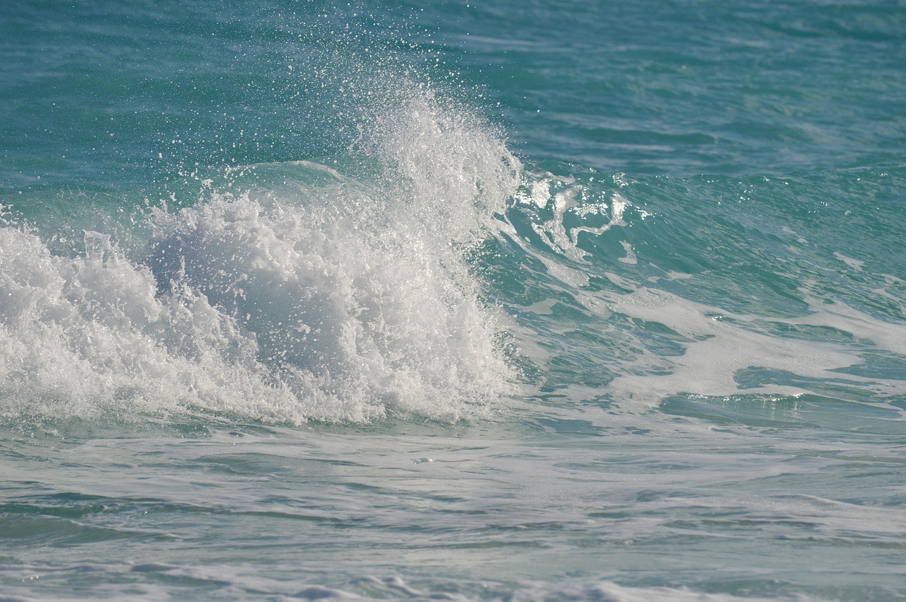 السياحة في توسان الأمريكية
